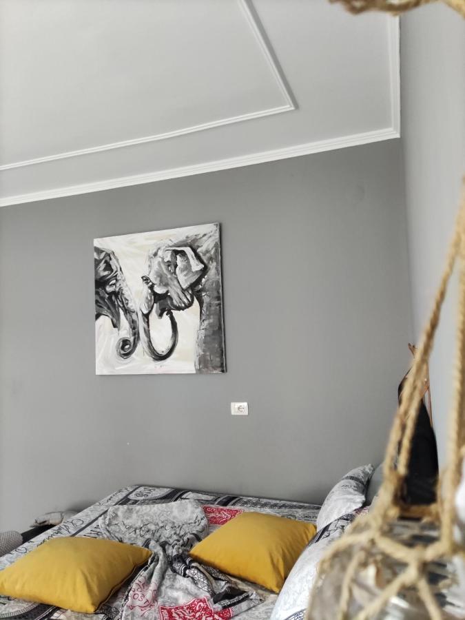 Koa Studio 1 Korce Luaran gambar
